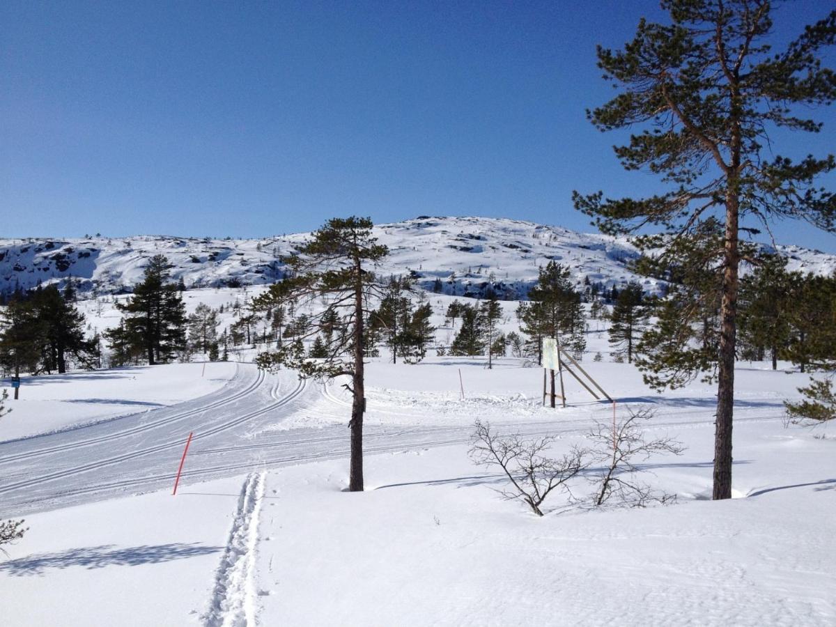 Vradal Panorama - Tiurasvegen 39 Villa Exterior photo